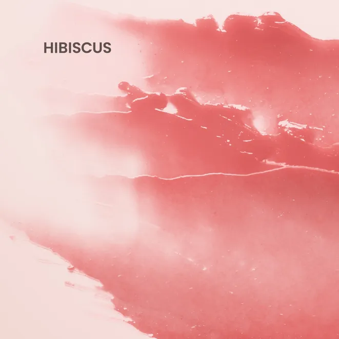 Burt's Bees tonēta lūpu balzāms, Hibisks - Image 2