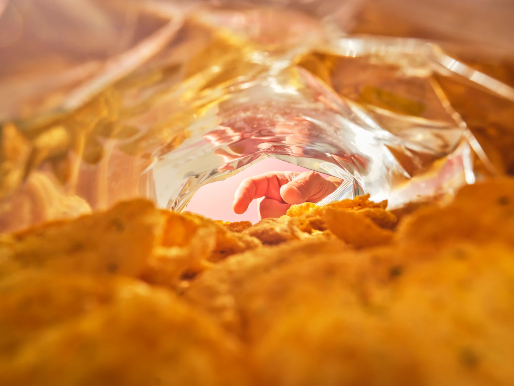 ORGANIC CRAVE Bioloģiskie lēcu čipsi ar augstu olbaltumvielu saturu un siera garšu, 75 g - Image 3